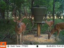 Banks Outdoors Feed Bank 600 Gravity Deer Feeder
