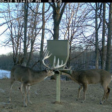 Banks Outdoors Feedbank 300 Gravity Deer Feeder