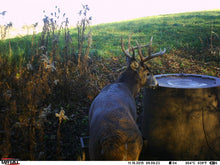 Banks Outdoors Wild Water® 100 3' Trough