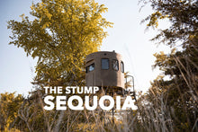 THE STUMP SEQUOIA