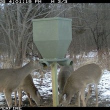 Banks Outdoors Feedbank 300 Gravity Deer Feeder